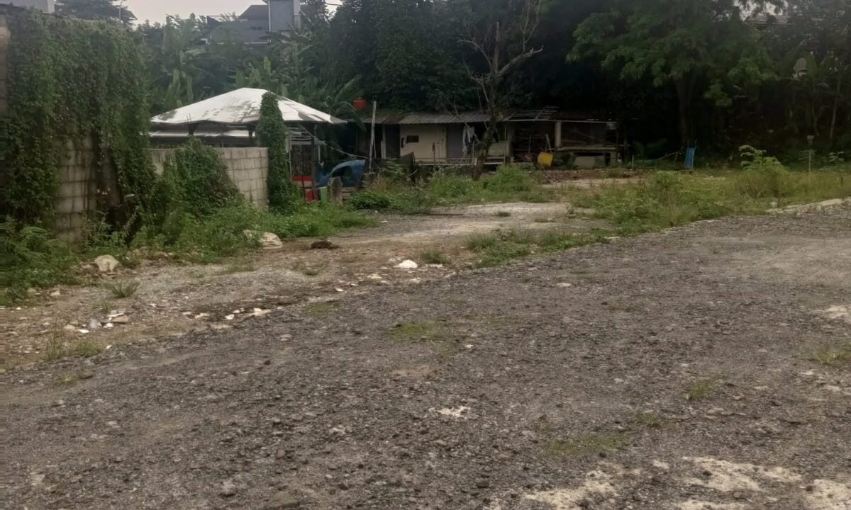1000555238
