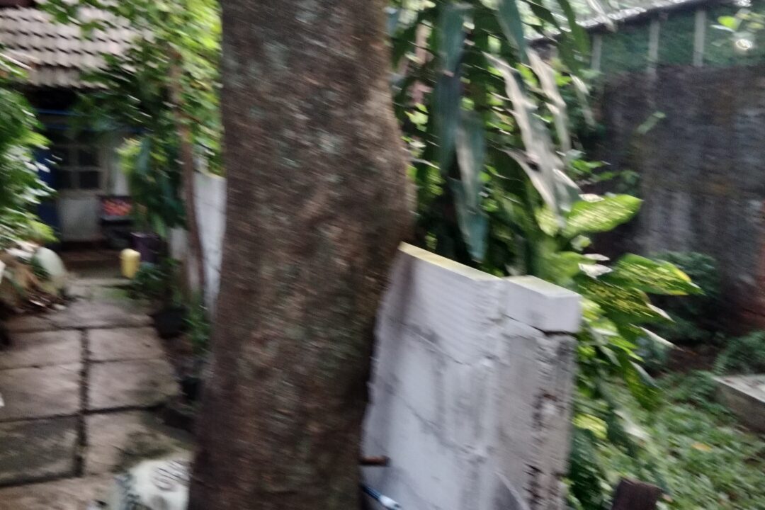 1000729264